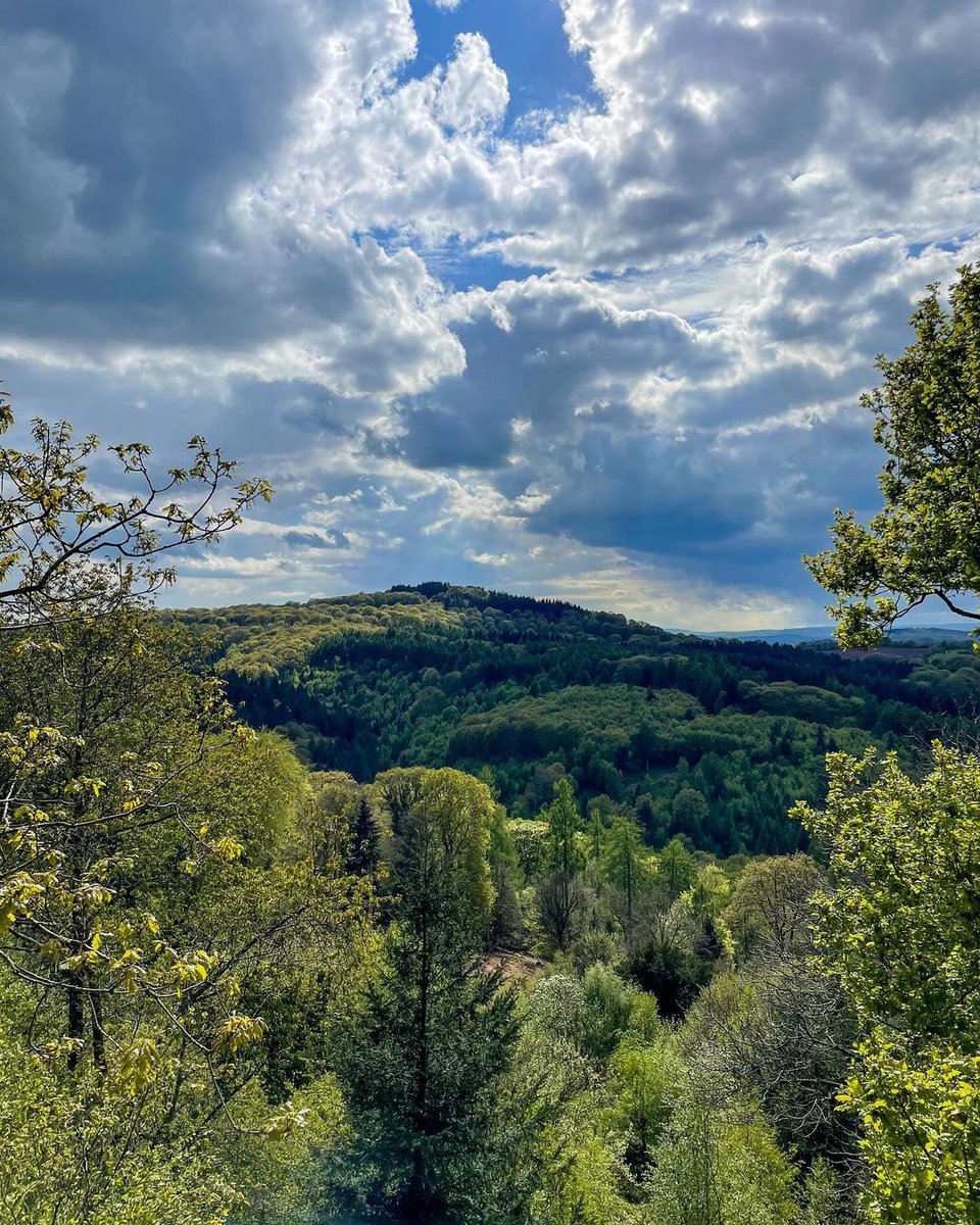 forestholidays's tweet image. Wrapping up this week with some beautiful views from the Forest of Dean 🌲😍 

📸 alexdvass

#forestfeeling #forestryengland #visitdeanwye #wyevalley