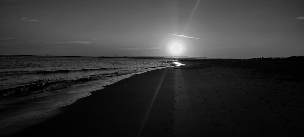 No hay nada, absolutamente nada que no pueda ser acogido por un alma que se atreve a caminar en silencio.

Feliz noche para todos y todas.
#microrevoluciones