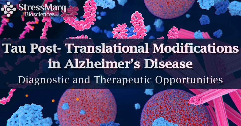 Post-Translational Modifications in #Alzheimers Disease: Diagnostic and Therapeutic Opportunities bit.ly/30MdhmS