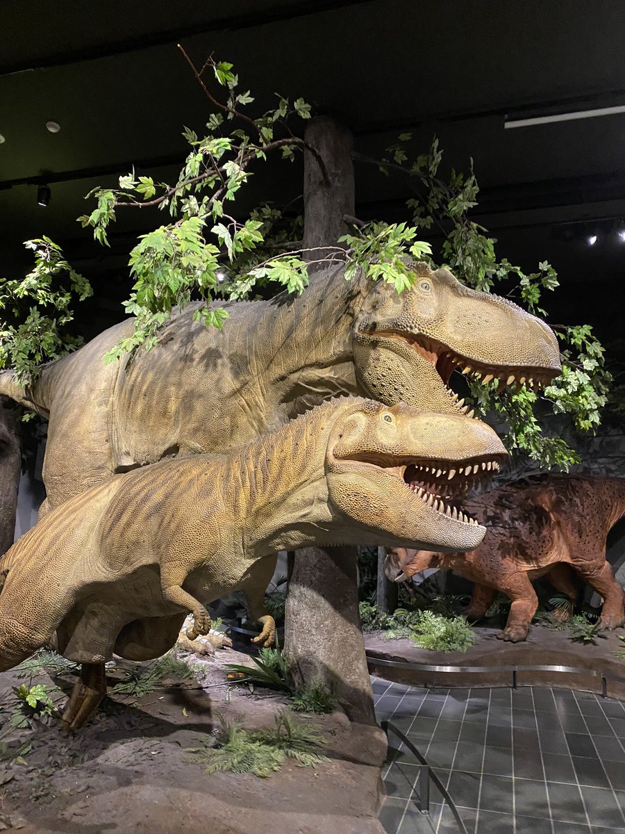 Reunited with my Grade 1 students from my practicum this year at <a href="/KanataHighlands/">KanataHighlands</a>! I joined them as a volunteer on their field trip to the Canadian Museum of Nature. We attended a workshop all about beavers and dams, and got to explore the various exhibits! 🦖🦫🦅🐜