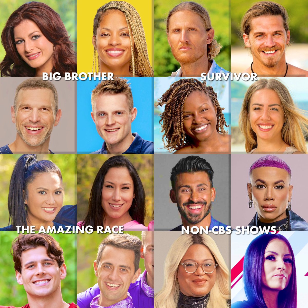 Big Brother 26: Battle of the Reality Stars cast #BB26