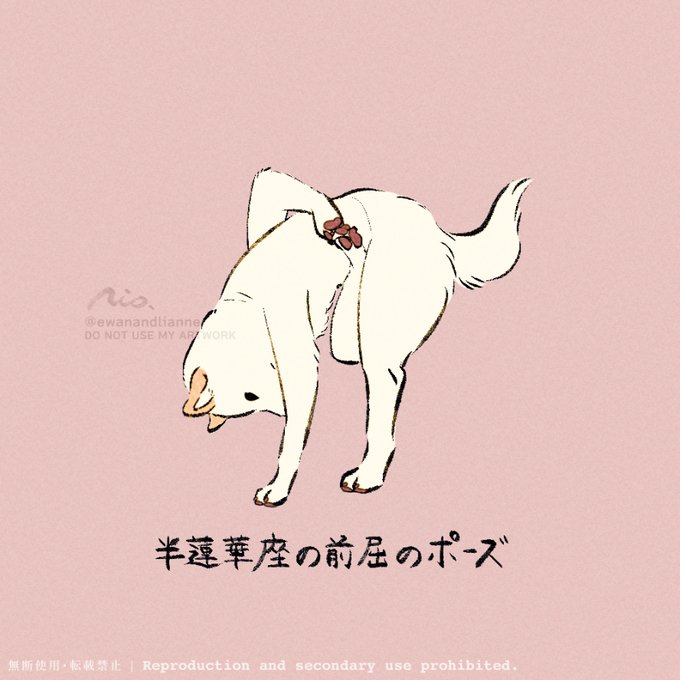 「犬 ソロ」のTwitter画像/イラスト(新着)