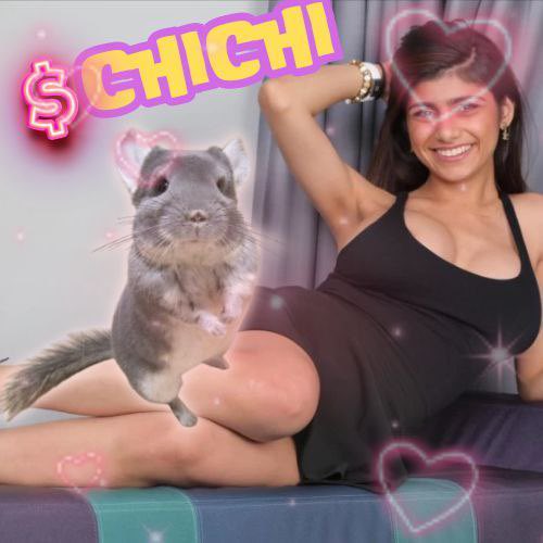 <a href="/MrZackMorris/">Zack Morris</a> <a href="/The__Solstice/">TheS◎Lstice</a> Word is getting out! $chichi is a money printer $sol #chichionsol