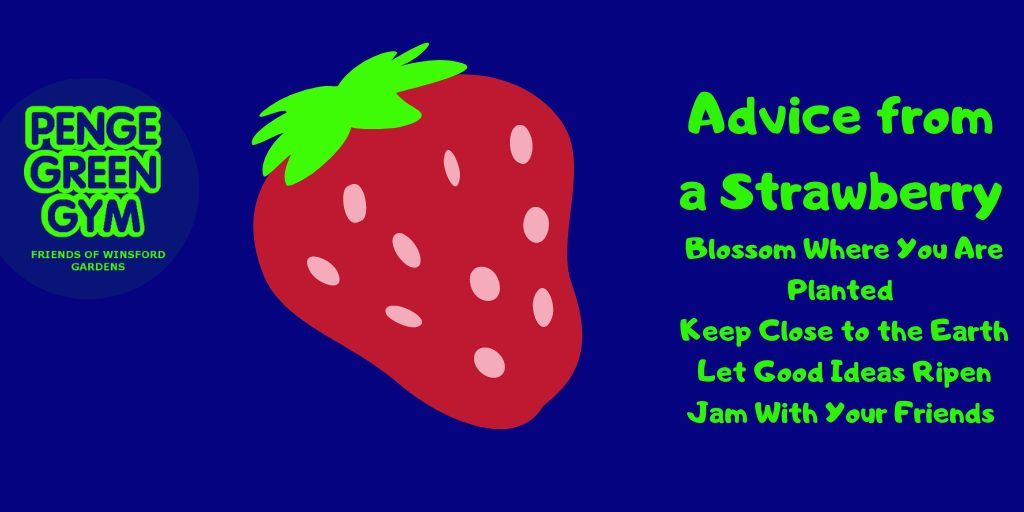 Advice from a Strawberry ~ Blossom Where You Are Planted ~ Keep Close to the Earth ~ Let Good Ideas Ripen ~ Jam With Your Friends
