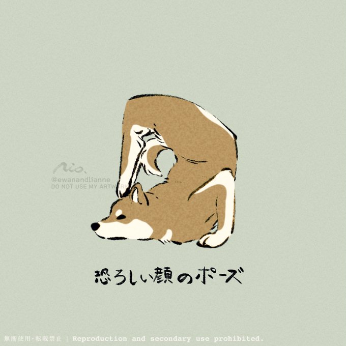 「ヨガを嗜む柴犬さん」のTwitter画像/イラスト(新着))