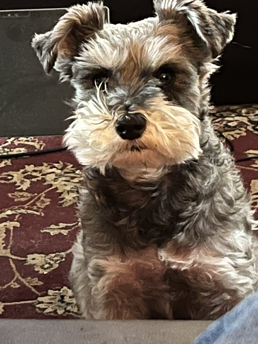 You have been judged.