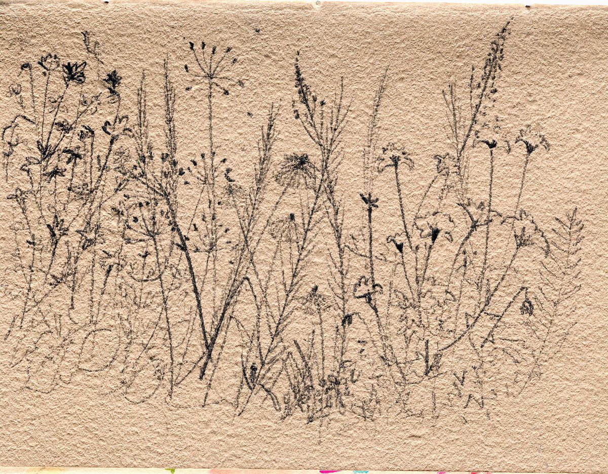 Sketchbook page 123 - sketching in the garden. #dailydrawing #gardensketching #ArtistonTwitter #ArtistonX #thedailysketch