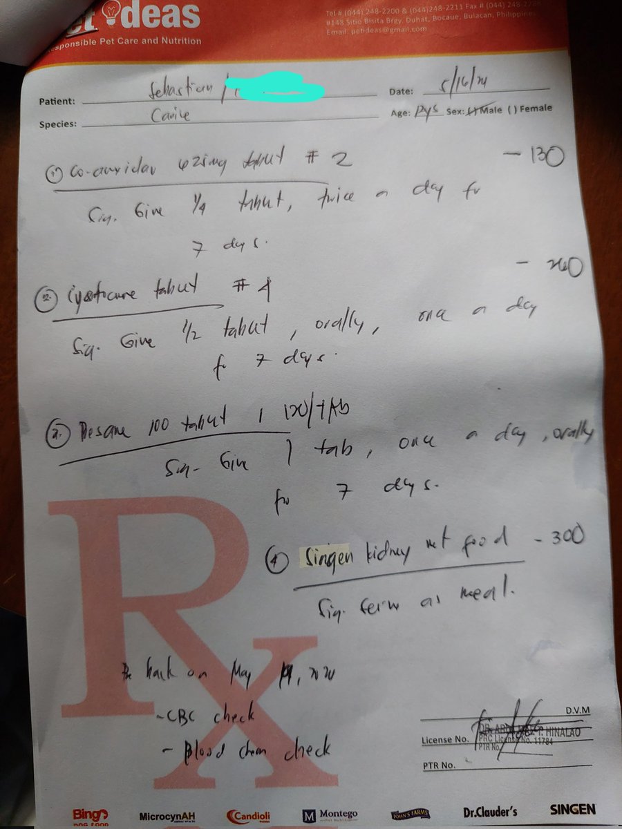 ria_rin11's tweet image. My dog is really weak pls help me!!! I&apos;m open for commissions to SAVE MY DOG SEBASTIAN. 😭😭😭😭😭

#emergencycommissions 
#artisthelp
#doglovers
#petlovers
#artistofX
#help
#PawFury