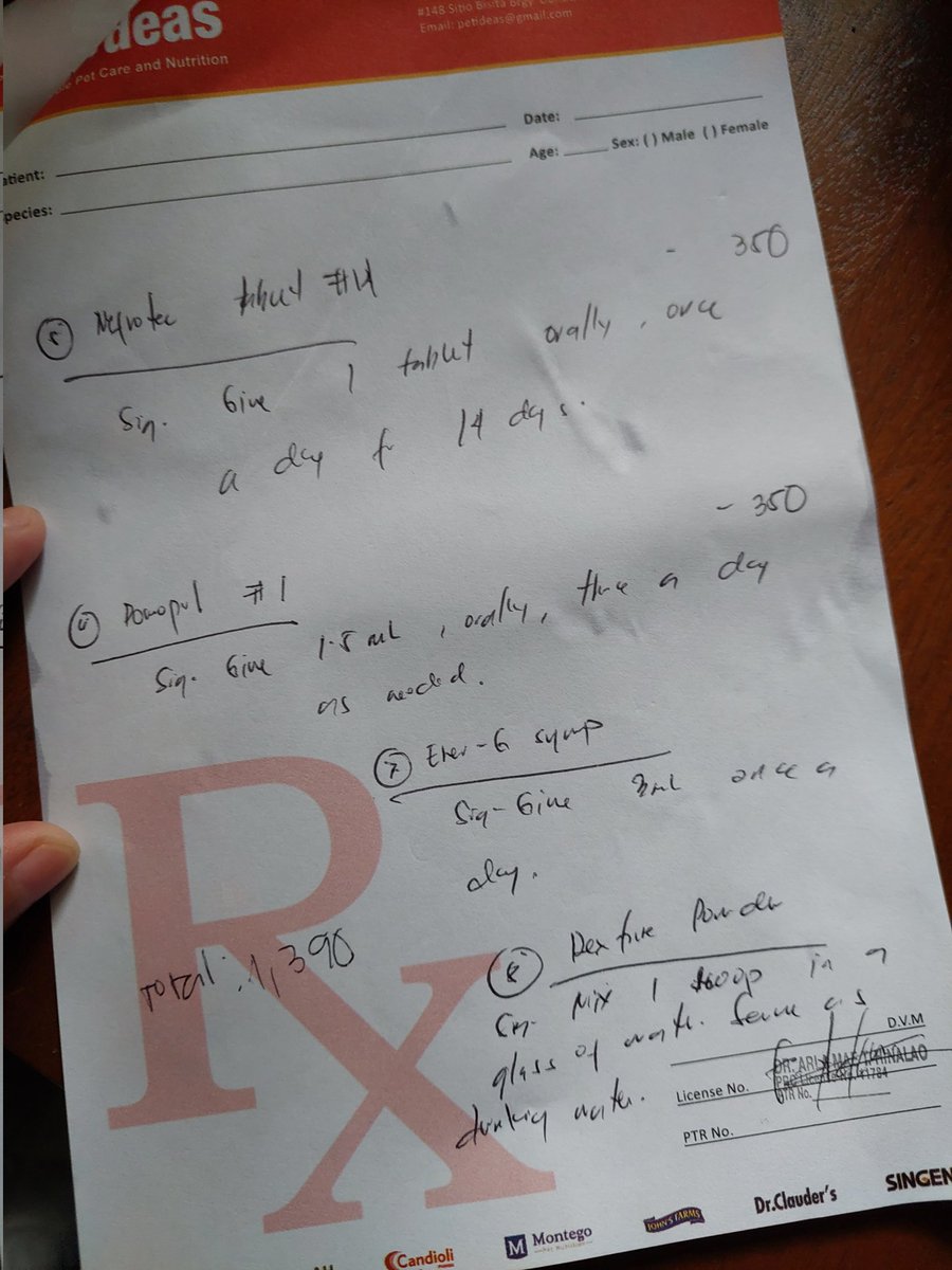 ria_rin11's tweet image. My dog is really weak pls help me!!! I&apos;m open for commissions to SAVE MY DOG SEBASTIAN. 😭😭😭😭😭

#emergencycommissions 
#artisthelp
#doglovers
#petlovers
#artistofX
#help
#PawFury