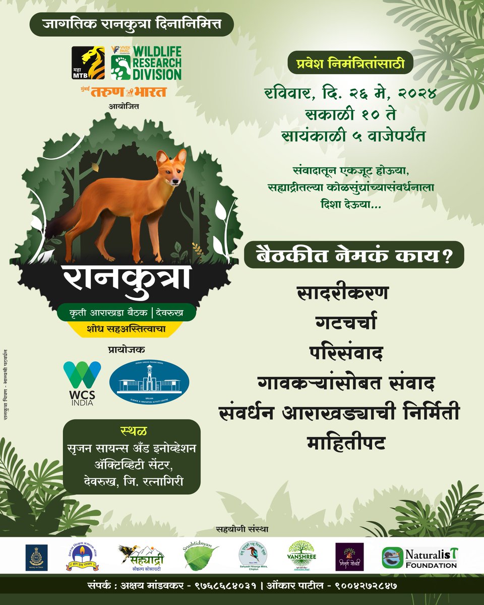 Dhole Action Plan Meeting - Devrukh Let's have an action-driven discussion for conservation of the Dhole's of Sahyadri Sunday, 26 May- 2024 |10 pm to 5 am @ranjeetnature @TamhiniGhat @tweetsvirat @Prateik_more @singh_sonu @arjun_srivathsa @anishandheria @bombaybushfrog @ben_ifs