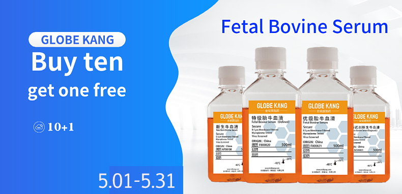 Global Kang 100ML 500ML Characterized Fetal Bovine Serum (FBS) cell culture media for stem cell serum
📷China Origin ||  triple 0.1um filtered, dialyzed  || 5years warranty
#fetalbovineserum #fbs #cellculture #lifescience #labbottle #labbottles #reagentbottles #reagentbottle