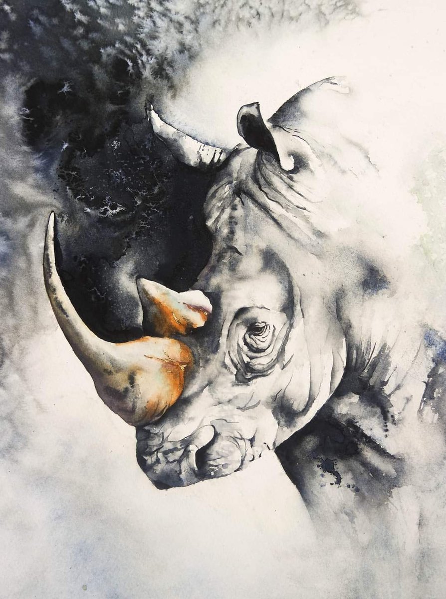 All that is Gold does not glitter....

Happy Monday x

#watercolour #watercolourpainting #rhino #Africa #Monochrome #texture #endangered #wildlifeartist #wildlifeart #animalportrait #inspiration #painting #artist #paint #art