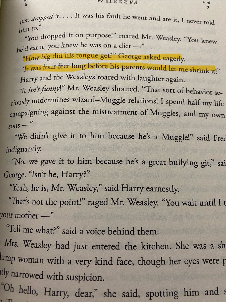Weasley’s Wizard Wheezes. 
Chudley Cannons.
Pigwidgeon! 
Simply excellent names.