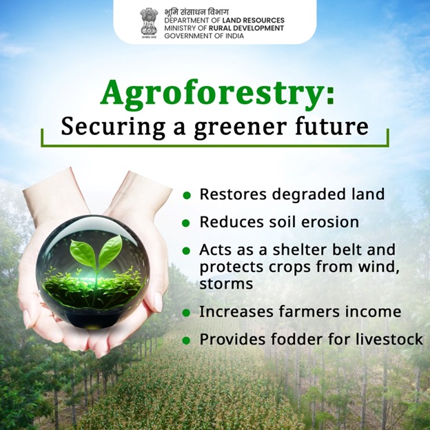 Agroforestry is a pathway to a sustainable world where a famer’s future is secured with assured returns.  Practice agroforestry and improve your economic stability. 
#Agroforestry #Farming #Agriculture #WaterConservation #SoilConservation #SaveWater #SaveSoil