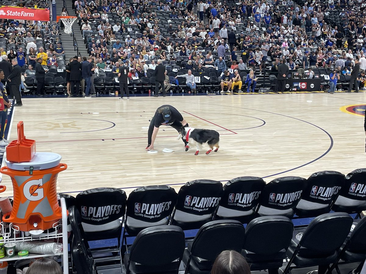 Game 7 halftime and we get dogs?!?! #MileHighBasketball