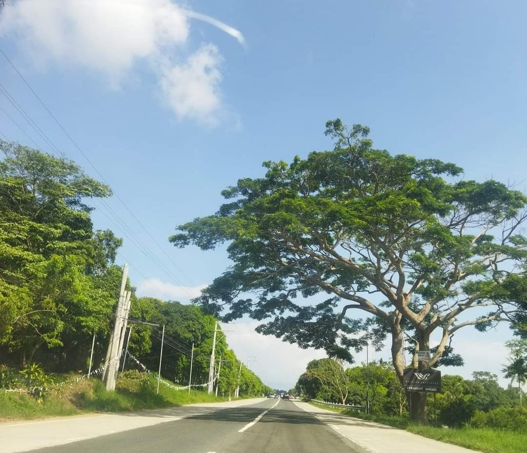 itswyfndr's tweet photo. Sometimes you have to let go of the picture of what you thought life would be like and learn to find joy in the story you actually are living.
#mysnaps #photographylovers #photography #travel #outsiderart #NaturePhotograhpy #naturephoto https://t.co/Mei3ylCEux