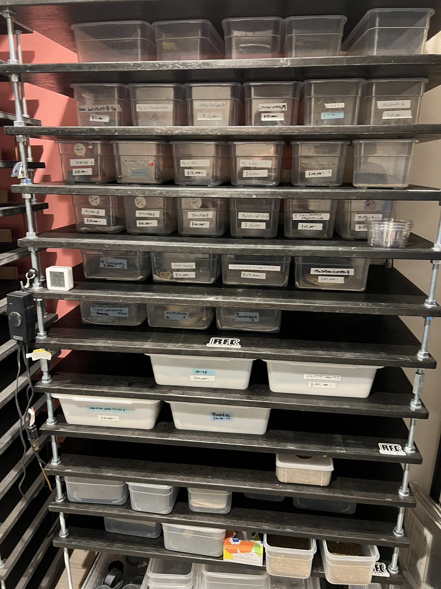 rfc2022_nobu's tweet image. 🌟2周年プレゼント企画🎁

うちで使ってるブリーダー専用ラックの展示の仕方も変更するので、余った板使って一台ラック作ります❗️

ペンキも余ってたと思うので、仕上げてプレゼント🎁しようと思ってます。

周年月は7月ですが、ちょっと制作に時間かかると思うので、今から応募かけようと思ってます😄…