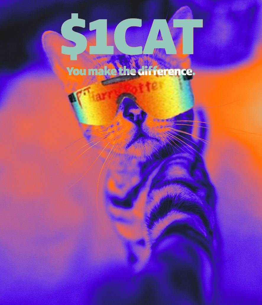 Because we got the best community in the entire crypto scene. #1cat