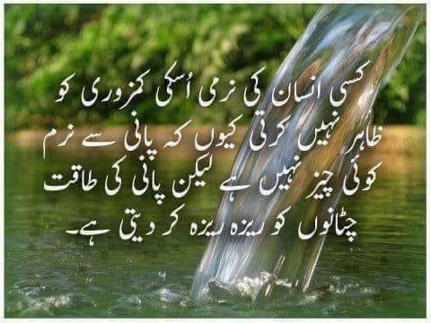 Drabdulmalik Mujahid tweet media