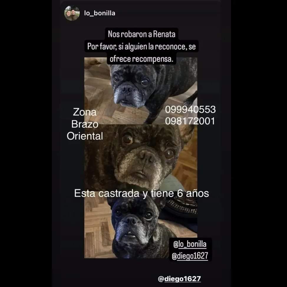 Por favor compartir! Es de un conocido, se la robaron