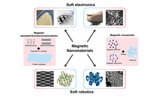Soft Science tweet media