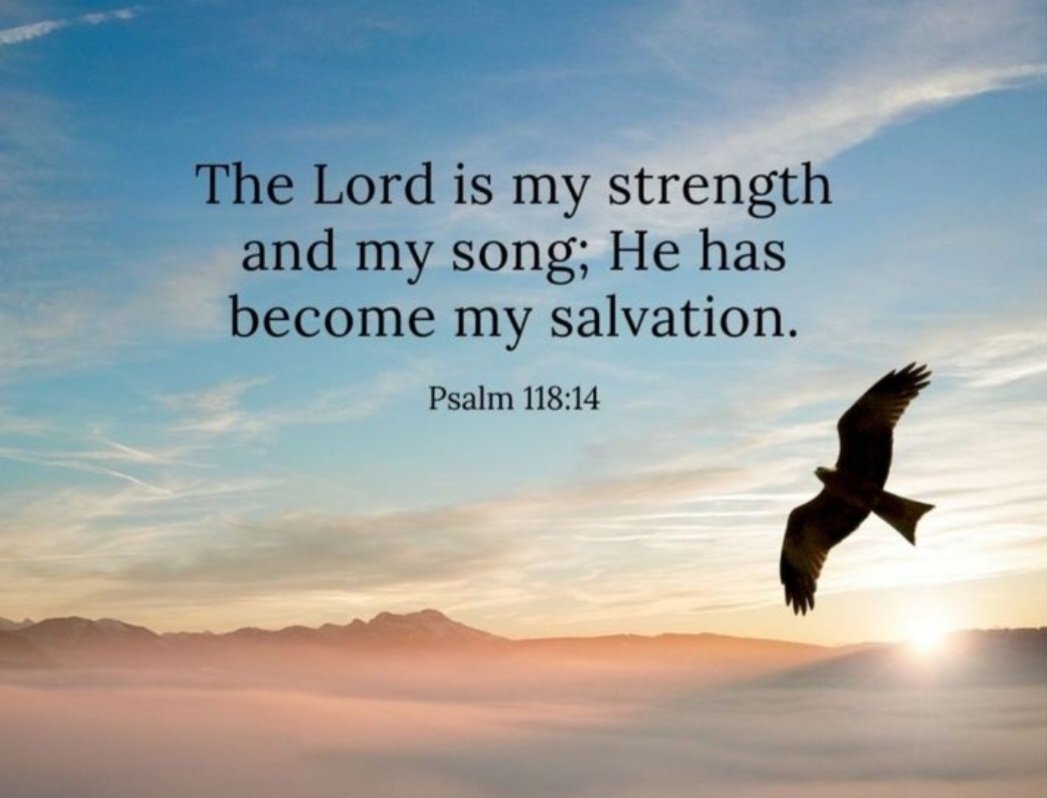 The Lord is my strength and my song; He has become my salvation. Psalm 118:14