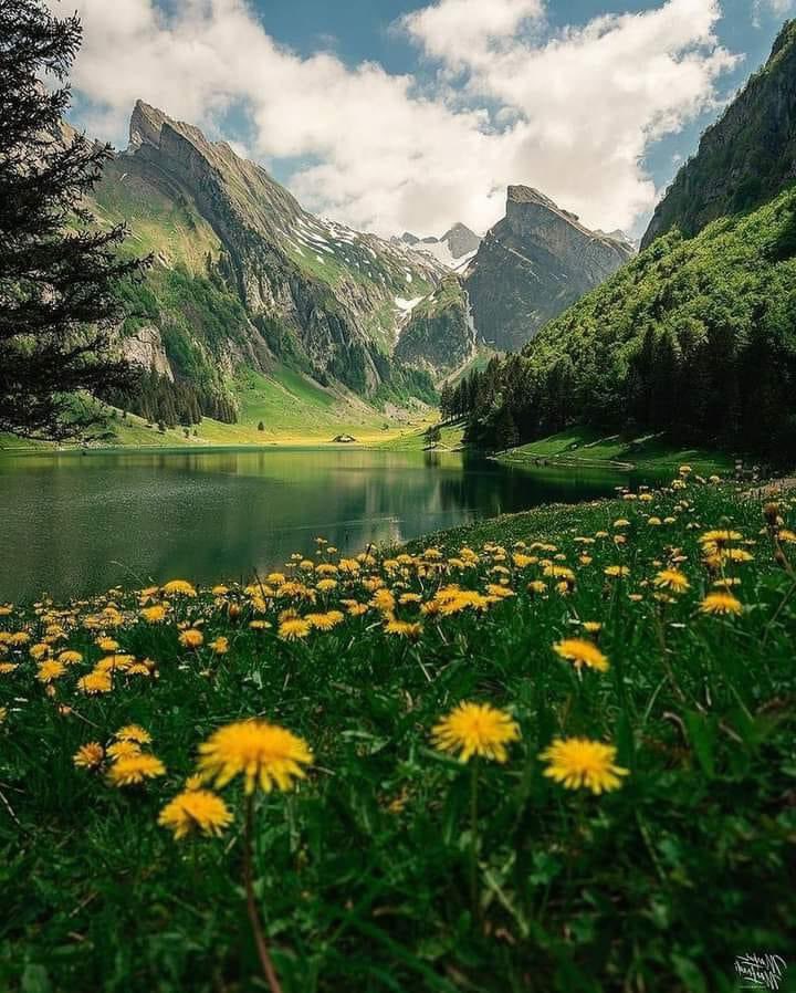Seealpsee Switzerland 🇨🇭