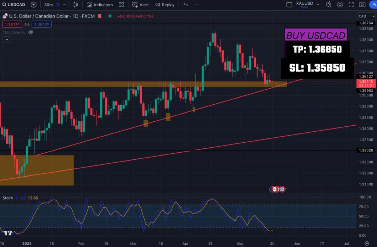 XAUUSD PIPS tweet media