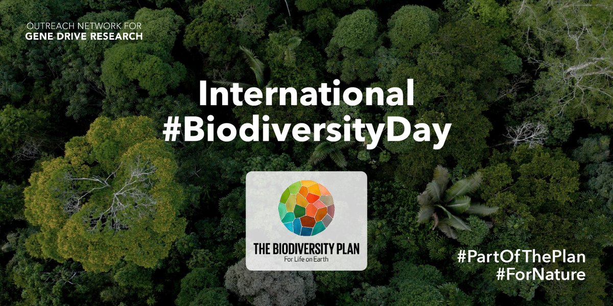 Outreach Network for Gene Drive Research (@genedrivenet) on Twitter photo #BiodiversityDay is coming up this week! 🌱🌎🦤
Join us as we celebrate 7 inspiring researchers and conservation experts working #ForNature from @NoExtinctions <a href="/Revive_Restore/">Revive & Restore</a> <a href="/USDA_APHIS/">USDA Animal and Plant Health Inspection Service</a> <a href="/ACSbuzz/">Advanced Conservation Strategies</a> <a href="/NCState/">NC State University</a> <a href="/UniofAdelaide/">Uni of Adelaide</a>.
#PartOfThePlan <a href="/UNBiodiversity/">UN Biodiversity</a> #BiodiversityDay is coming up this week! 🌱🌎🦤
Join us as we celebrate 7 inspiring researchers and conservation experts working #ForNature from @NoExtinctions <a href="/Revive_Restore/">Revive & Restore</a> <a href="/USDA_APHIS/">USDA Animal and Plant Health Inspection Service</a> <a href="/ACSbuzz/">Advanced Conservation Strategies</a> <a href="/NCState/">NC State University</a> <a href="/UniofAdelaide/">Uni of Adelaide</a>.
#PartOfThePlan <a href="/UNBiodiversity/">UN Biodiversity</a>