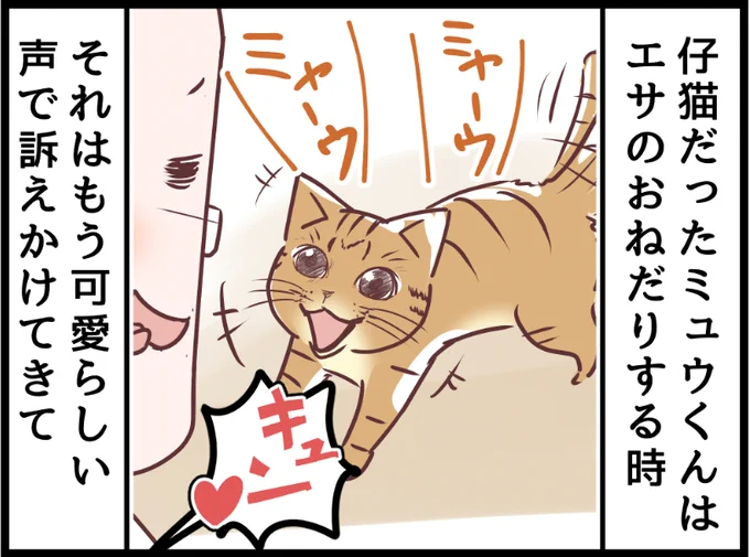 オペラ座の怪ネコからまだ未公開の最新話を読むことができます!  #ニャンコ #まんが #猫 #猫あるある #猫漫画 #ペット #飼い主 #エッセイ漫画 #キャット #猫のいる暮らし 