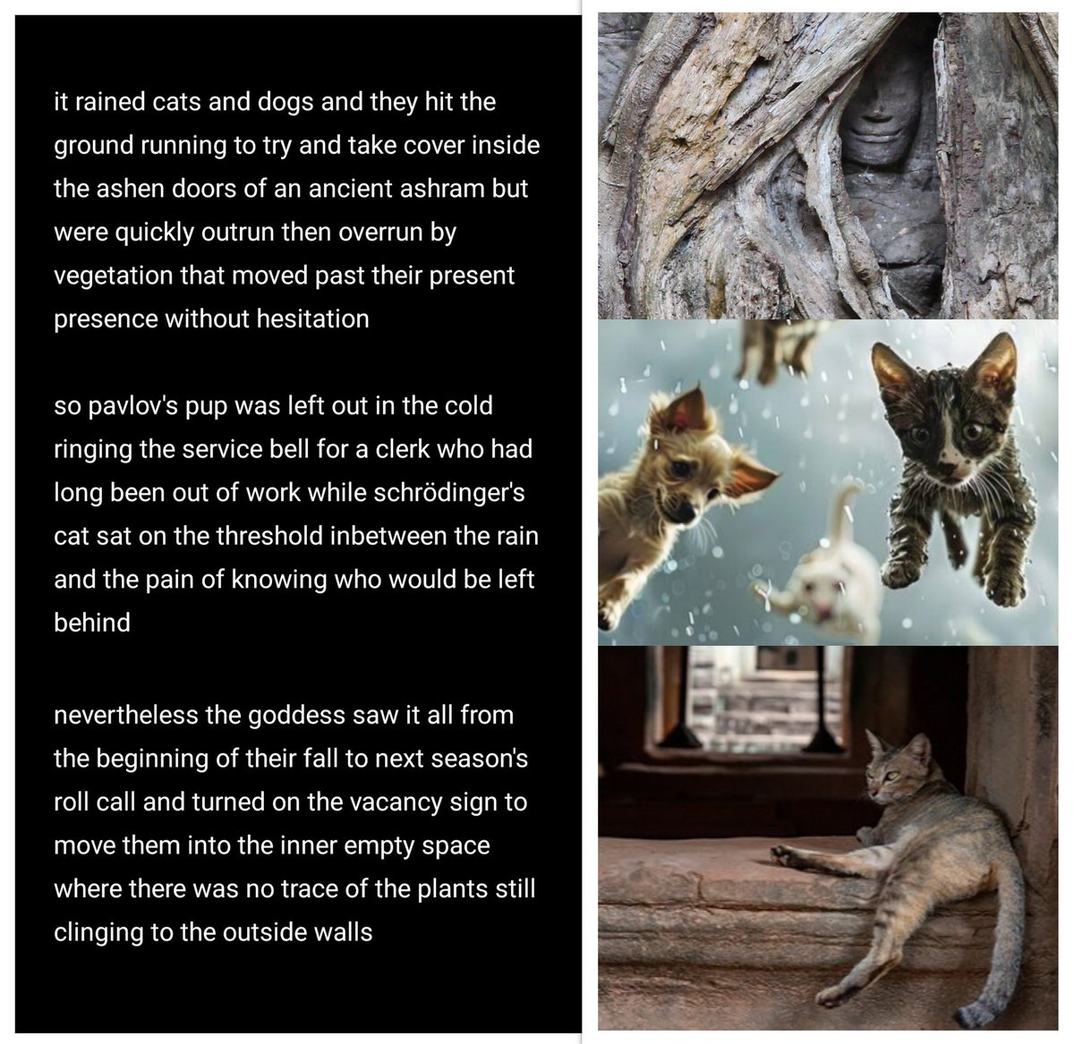 A poem about animals arriving in an ancient ashram during a rainstorm. Written with memories of my visits to Ta Prohm with my wife, and visits to the Ashram Bakery in Bloomington as a child with my mother.

poem/photo collage: may 20th, 2024 ©.

#Poetry
#MagicalRealism