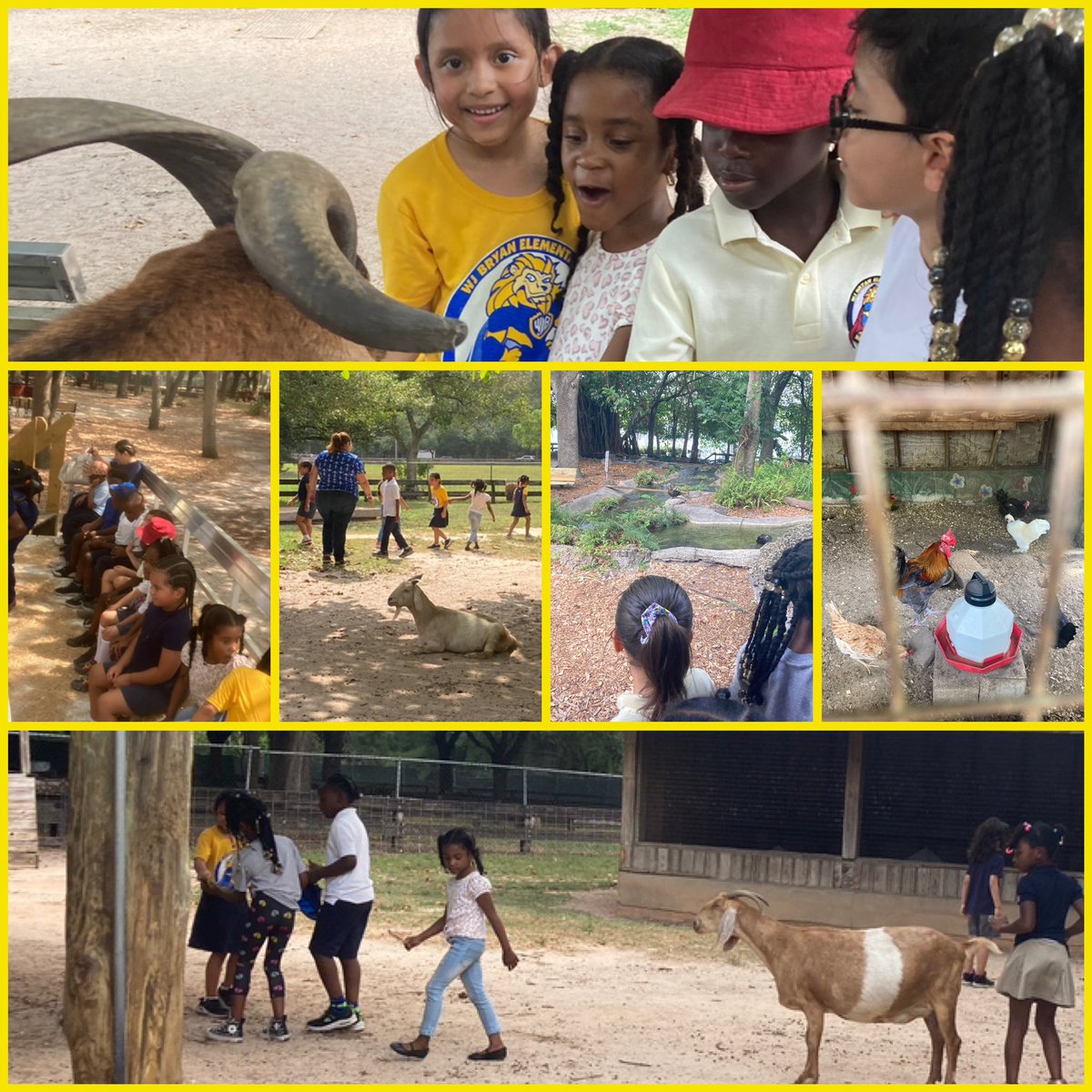 Our littles enjoyed two fabulous learning expeditions. At the Miami Children’s Museum, learners connected with their creativity through the current exhibits. At the Graham Farm Village, students learned about our rich agricultural history. #YourBestChoiceMDCPS, #MuseumsMagnet 🦁