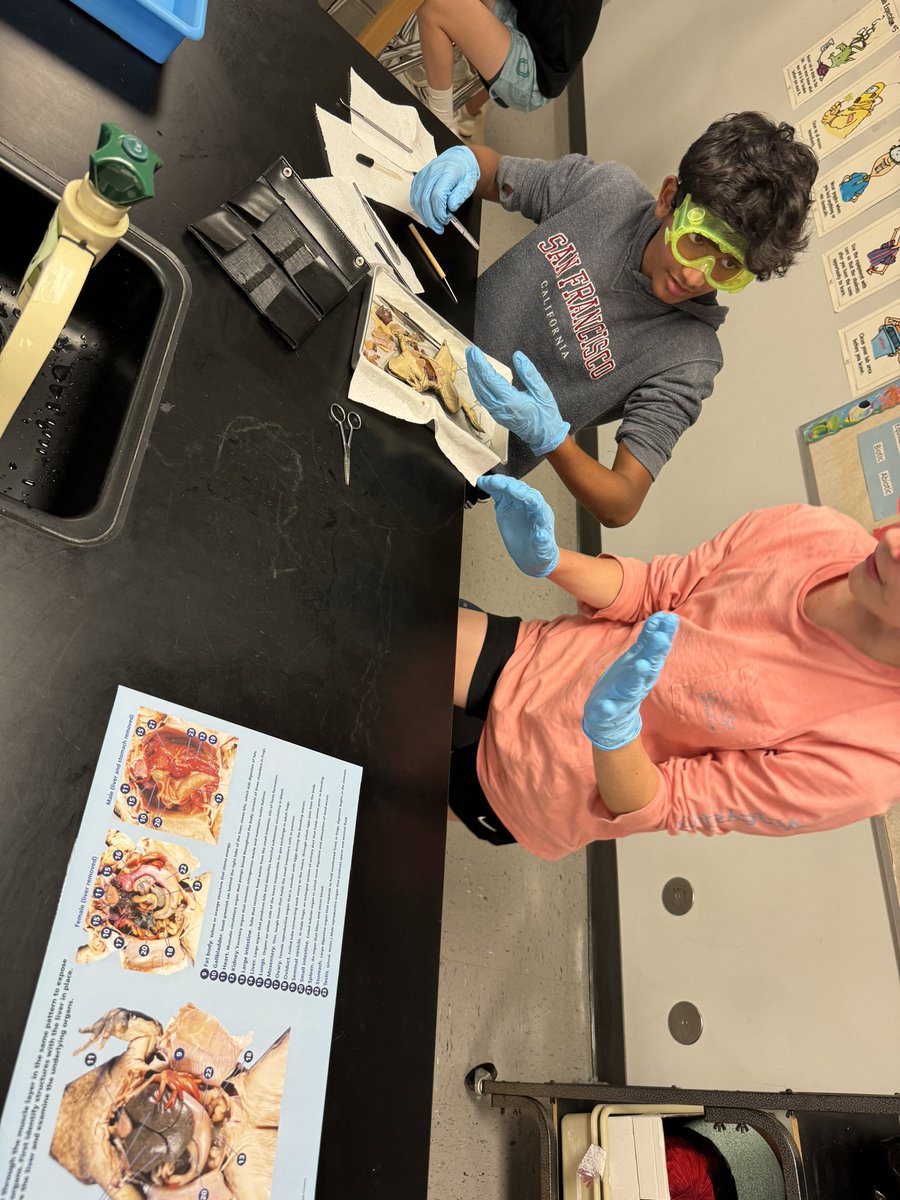 It’s the time of year for the frog dissection lab in 7th gr science. We all remember doing this lab when we were in MS too & now our students get this hands-on experience & for some this smelly opportunity isn’t all it’s cut up to be😝 #SoaringTogetherInScience💙🦅💛 @annawydeven