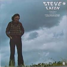 今回ご紹介するのはシンガーソングライターのSteve Eatonです！

カーペンターズの名曲「All You Get from Love Is a Love Song（ふたりのラブソング）を提供したスティーブ・イートンが1974年にリリースしたアルバム「Hey Mr. Dreamer」です！

最後までお楽しみくださいませ🎵
#ログあわ #ラジオ日本