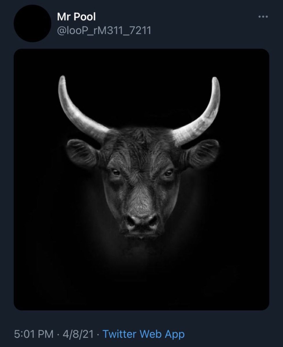 XFamily369's tweet photo. A white bison
➡️ Buffalo, Bullrun 

relatively rare
➡️ EXPECT THE UNEXPECTED https://t.co/6FHYib2ugt