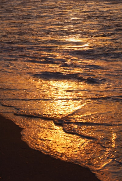 Michelle Gerlach ©️ Unsplash | #photography #nature #beach #ocean #sand #waves #sunlight