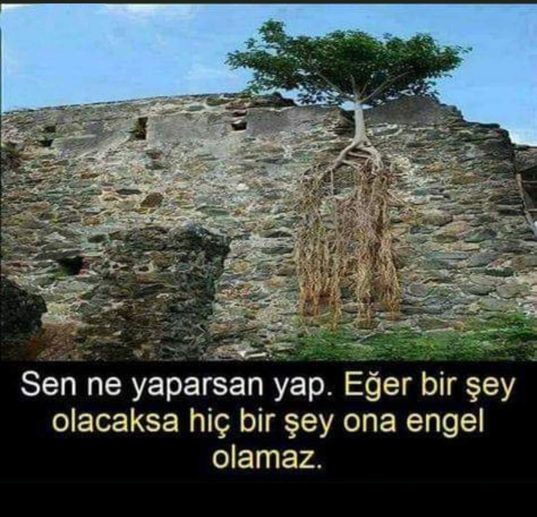 'Fırtınaya karşı koyan ağacın köküdür. Bu yüzden insan için derinleşmek, yükselmekten önce gelir..!!!' Der: Anooshirvan MİANDJİ Kökleri olmasa da, karakteri sağlam insanlar denk gelsin yolunuz... Gününüz gönlünüzce olsun güzel insanlar...🍵💐