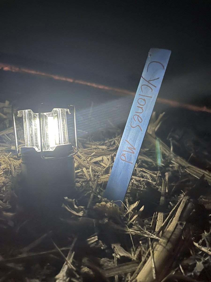 Ben Hill (@farmerben19) on Twitter photo Middle planting of my three planting date soybean trial is in the ground! Fun little late night plot <a href="/Maizex/">Maizex Seeds</a> Middle planting of my three planting date soybean trial is in the ground! Fun little late night plot <a href="/Maizex/">Maizex Seeds</a>