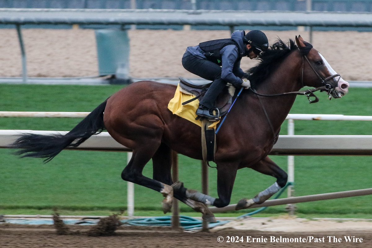 Air Force Red (5F: 59.80 H) working this morning.