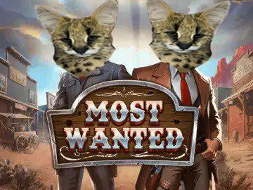 Valhalla4Crypto's tweet photo. @TheMisterFrog Have you checked the most wanted serval? 
#SERVOL 
https://t.co/n70dPnl8du https://t.co/uaBjO4uFCt