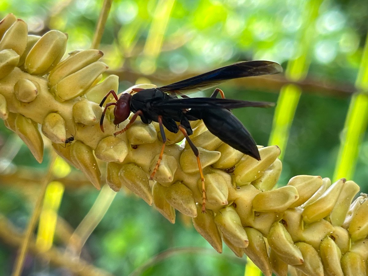 Scott Nacko tweet media