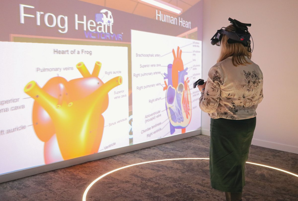 Lumination tweet media