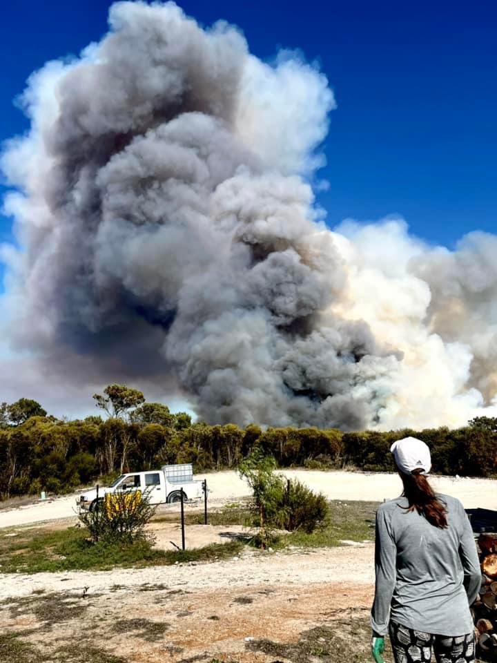 This photo of me was taken almost simultaneous with this interview going to air (featuring my struggles with #ecogrief). When Bob did his original interview with me in April, I was sitting in the shade of the trees under the huge smoke plume