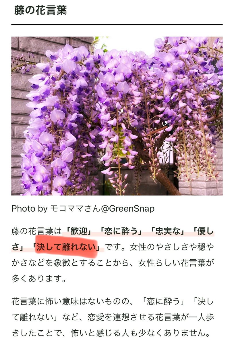 藤の花がグループカラーの紫って事と、
この花言葉だって事に運命を感じてます

#Kep1er #케플러
#Shooting_Star #Kep1going_On