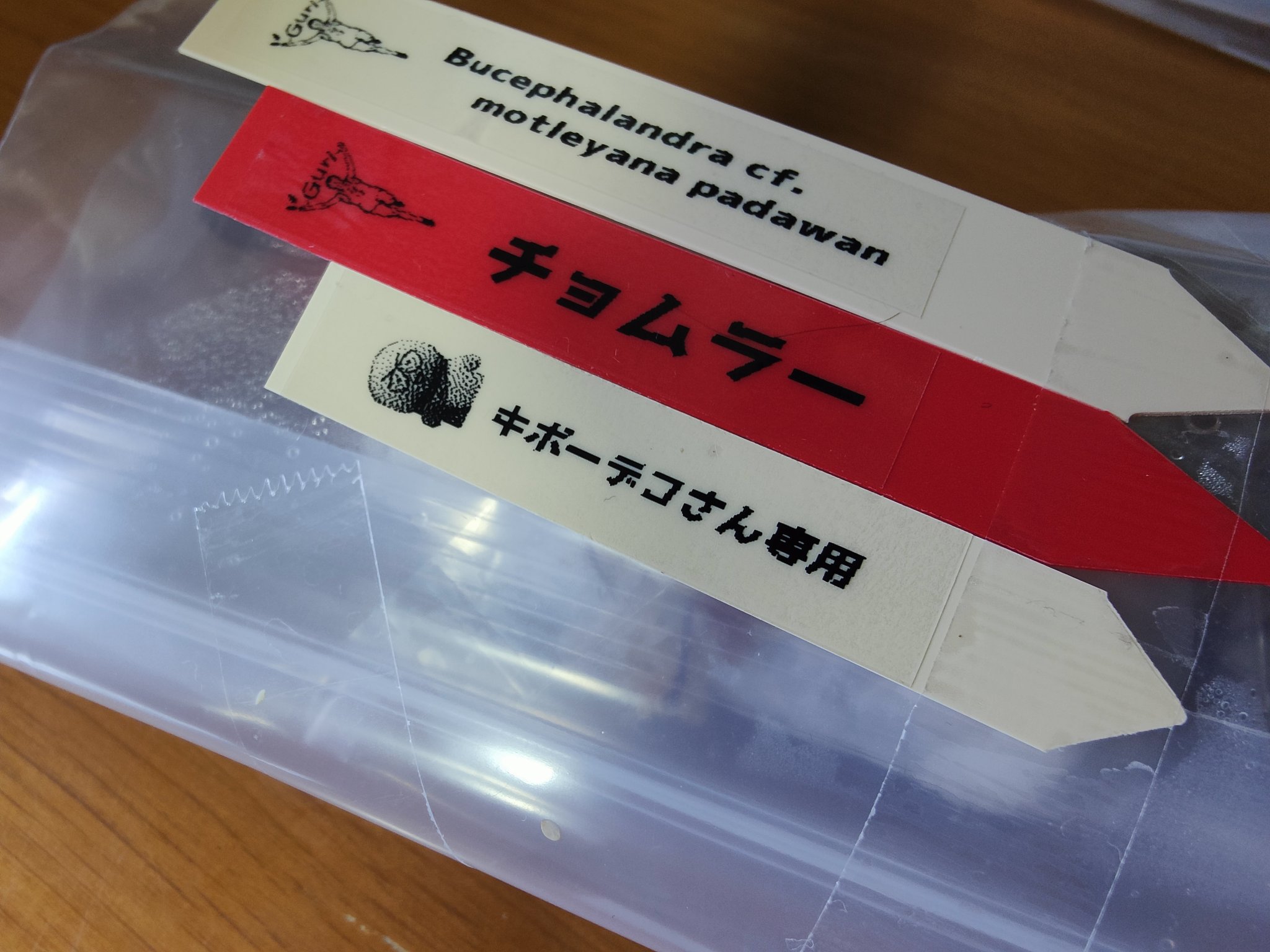 キボーデコ on X: 