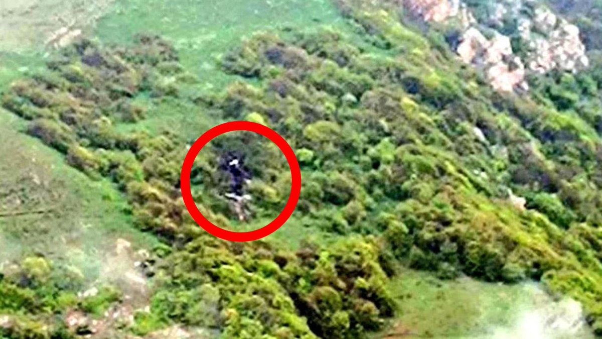 Sulaiman Ahmed tweet media