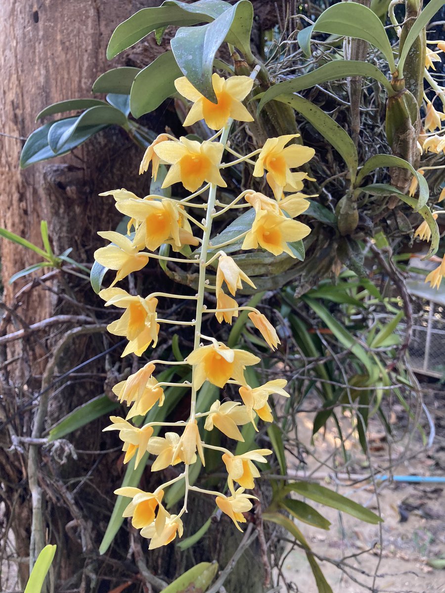 คนเบื่อชีวิต (@crazynew_rk) on Twitter photo 