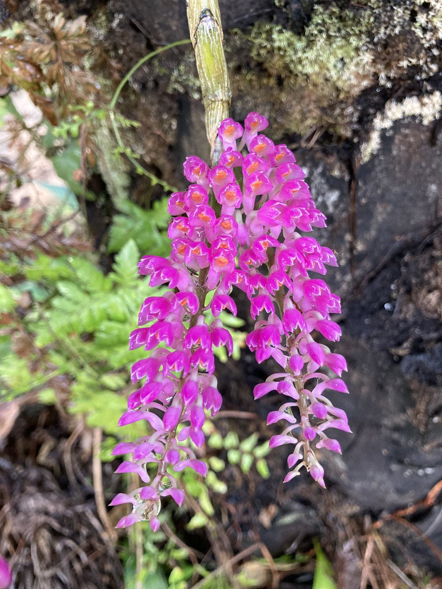 คนเบื่อชีวิต (@crazynew_rk) on Twitter photo 