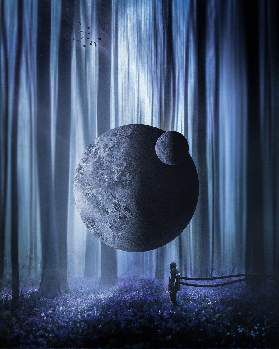 GM, happy monday 🌗

RΞ-CONNΞCT //
Still available on foundation ⬇️