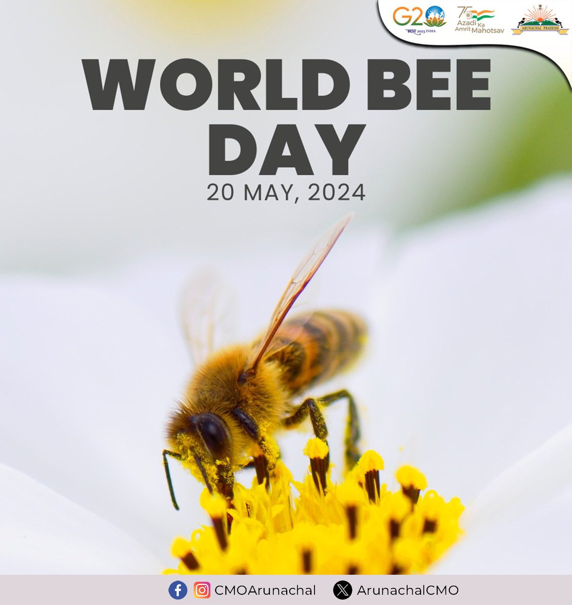 🐝 Happy #WorldBeeDay! 

Let's celebrate these incredible pollinators that play a crucial role in our ecosystem and agriculture. Protecting bees means protecting our planet's future.

Together, let's ensure a sustainable future for our planet. 🌍🌸 

#SaveTheBees